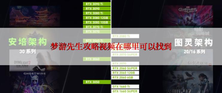 梦游先生攻略视频在哪里可以找到