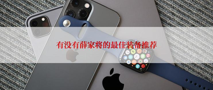有没有薛家将的最佳装备推荐