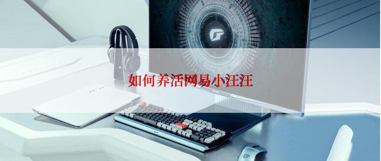 如何养活网易小汪汪