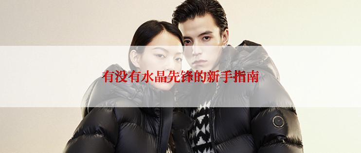 有没有水晶先锋的新手指南