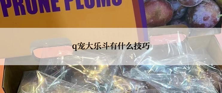 q宠大乐斗有什么技巧