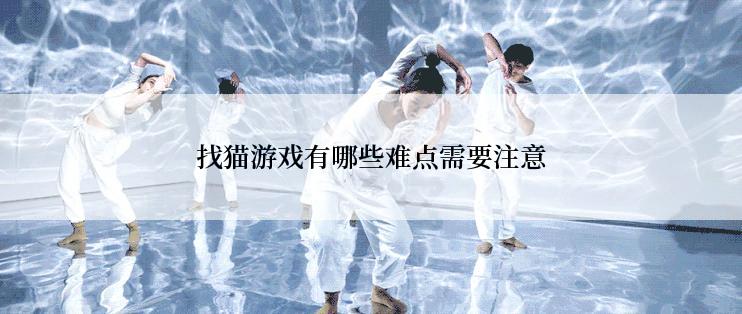 找猫游戏有哪些难点需要注意