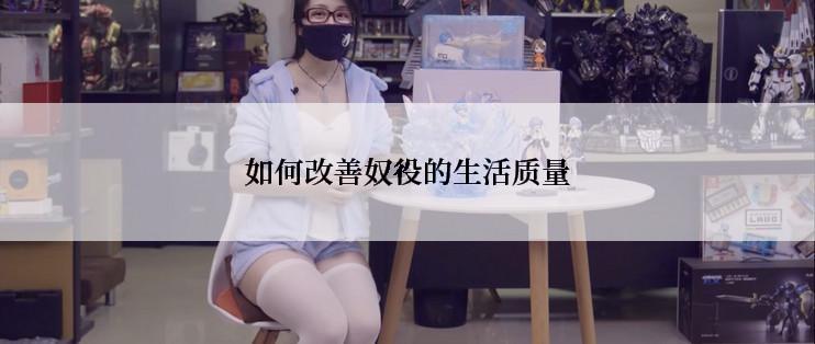 如何改善奴役的生活质量