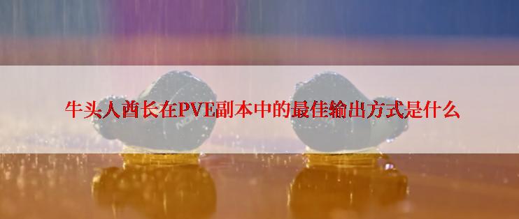  牛头人酋长在PVE副本中的最佳输出方式是什么