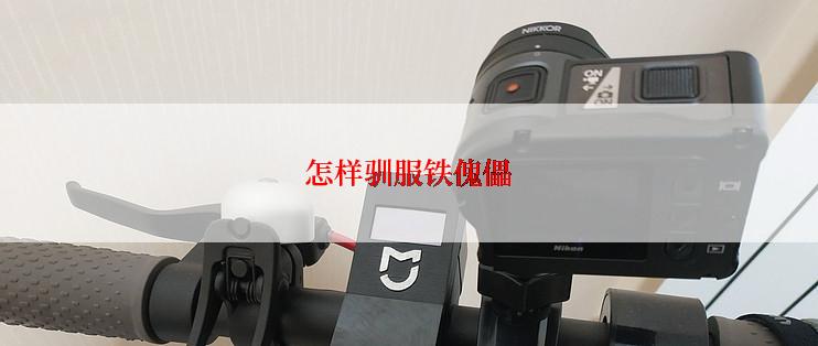怎样驯服铁傀儡