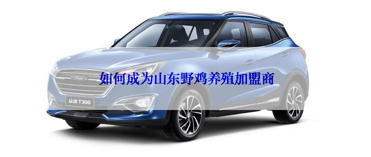  如何成为山东野鸡养殖加盟商