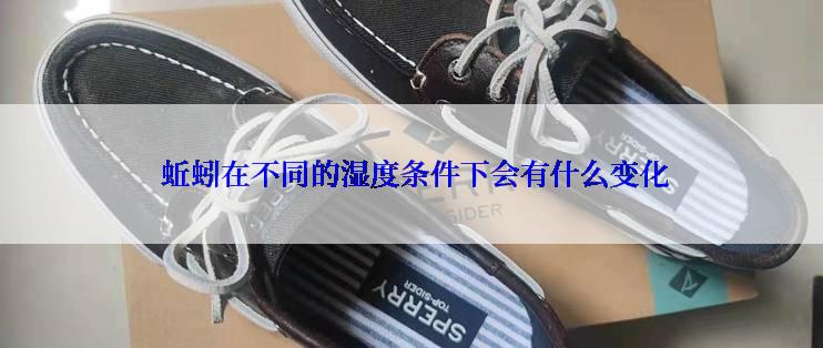  蚯蚓在不同的湿度条件下会有什么变化