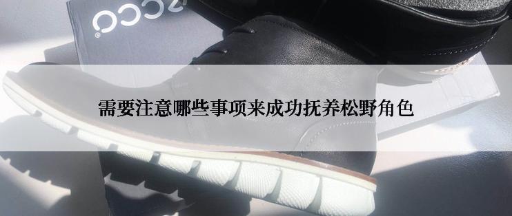 需要注意哪些事项来成功抚养松野角色