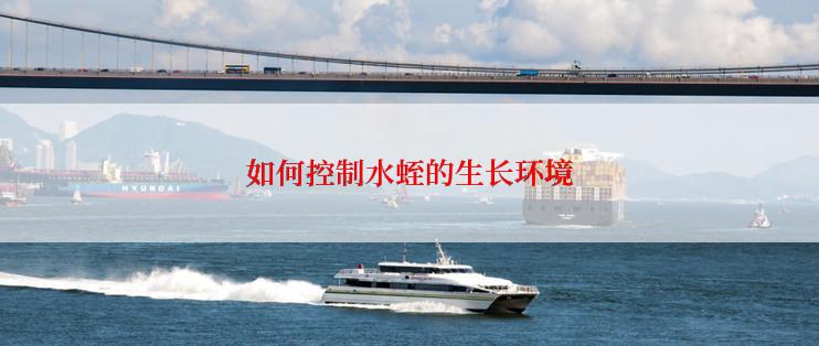 如何控制水蛭的生长环境