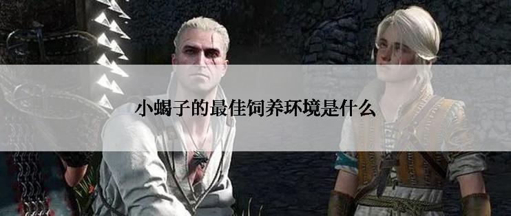 小蝎子的最佳饲养环境是什么