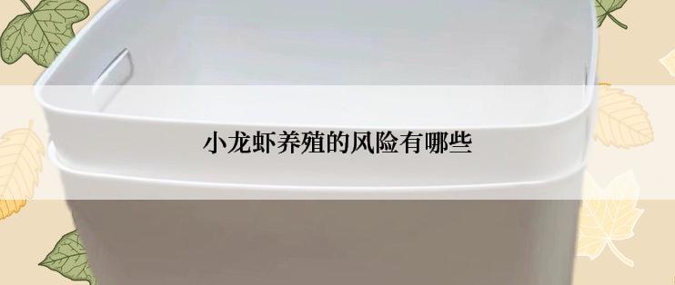 小龙虾养殖的风险有哪些