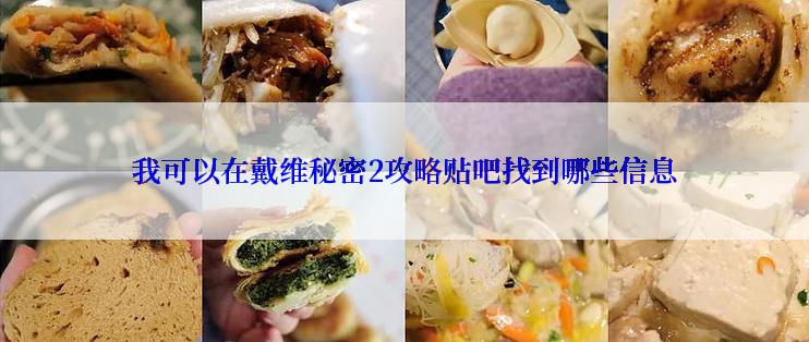 我可以在戴维秘密2攻略贴吧找到哪些信息