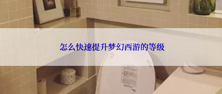  怎么快速提升梦幻西游的等级
