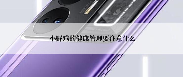  小野鸡的健康管理要注意什么