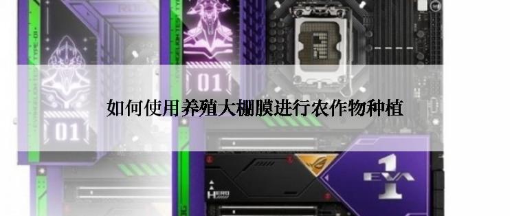 如何使用养殖大棚膜进行农作物种植