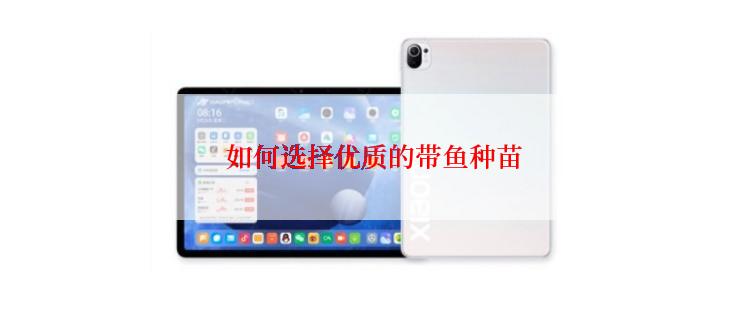  如何选择优质的带鱼种苗