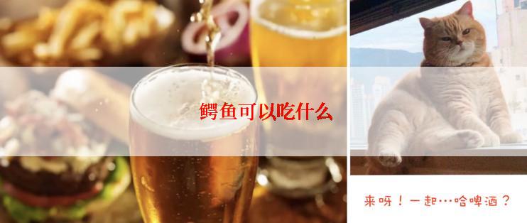  鳄鱼可以吃什么