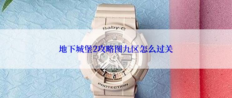 地下城堡2攻略图九区怎么过关