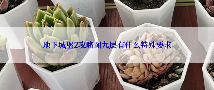 地下城堡2攻略图九层有什么特殊要求