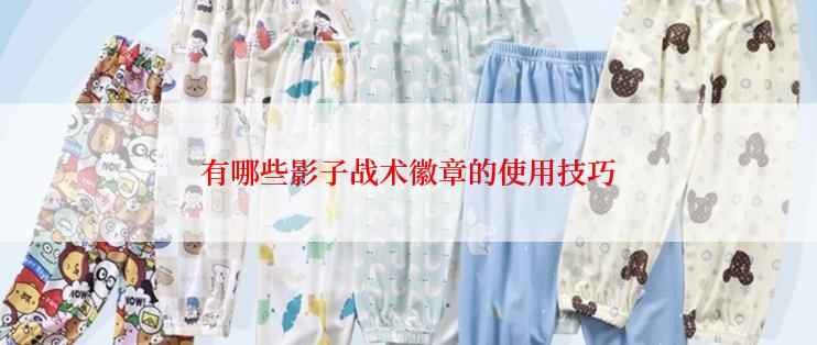 有哪些影子战术徽章的使用技巧