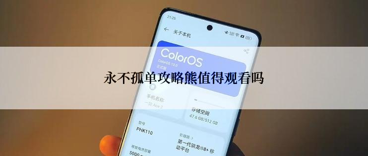 永不孤单攻略熊值得观看吗