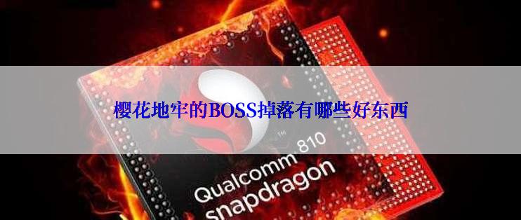 樱花地牢的BOSS掉落有哪些好东西