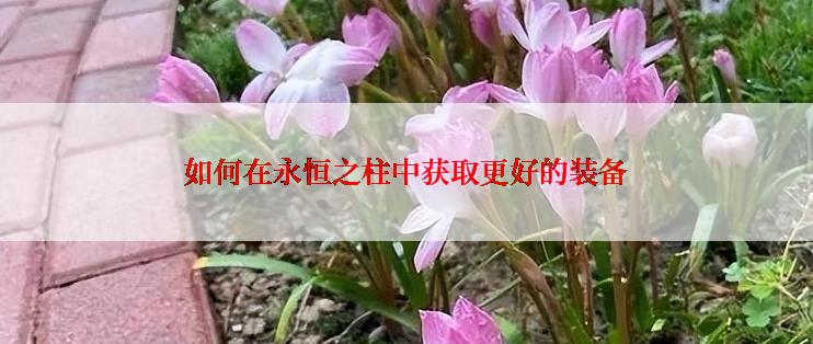 如何在永恒之柱中获取更好的装备