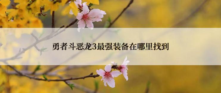 勇者斗恶龙3最强装备在哪里找到