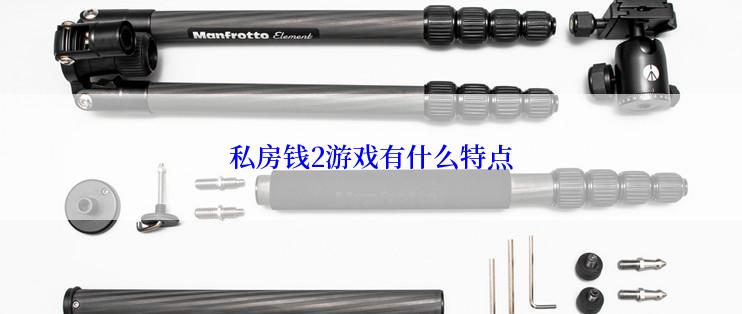 私房钱2游戏有什么特点