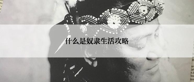 什么是奴隶生活攻略