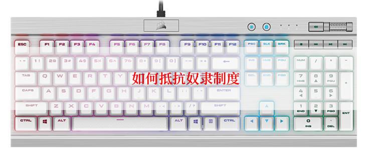 如何抵抗奴隶制度