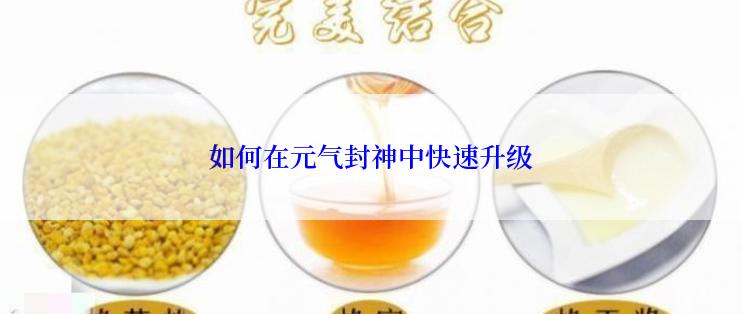 如何在元气封神中快速升级