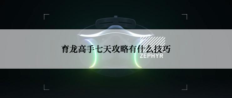 育龙高手七天攻略有什么技巧