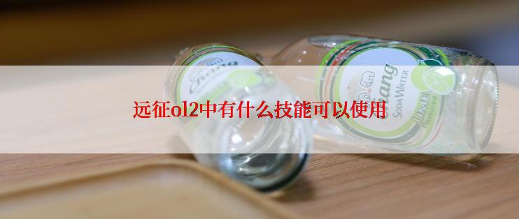 远征ol2中有什么技能可以使用