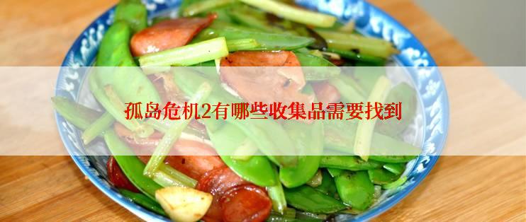 孤岛危机2有哪些收集品需要找到