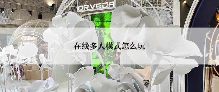 在线多人模式怎么玩
