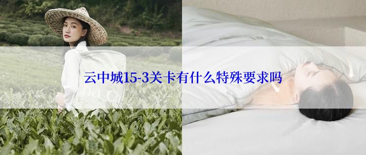 云中城15-3关卡有什么特殊要求吗