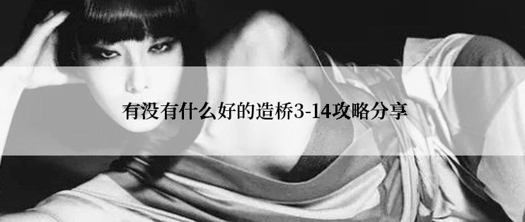  有没有什么好的造桥3-14攻略分享