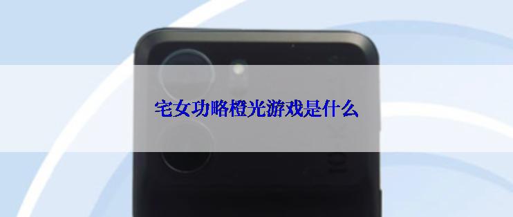 宅女功略橙光游戏是什么