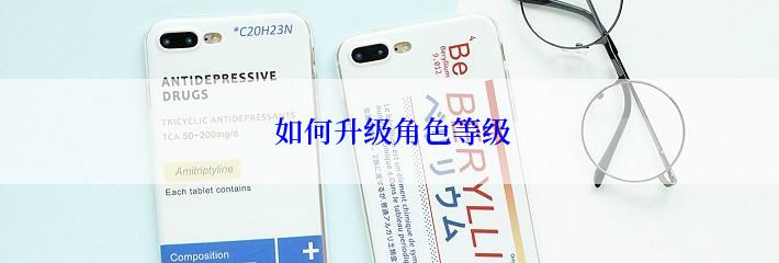  如何升级角色等级