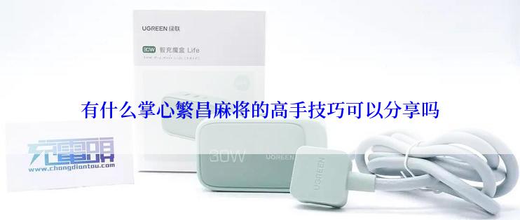 有什么掌心繁昌麻将的高手技巧可以分享吗