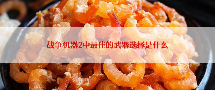 战争机器2中最佳的武器选择是什么