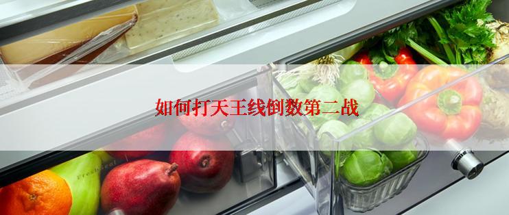 如何打天王线倒数第二战