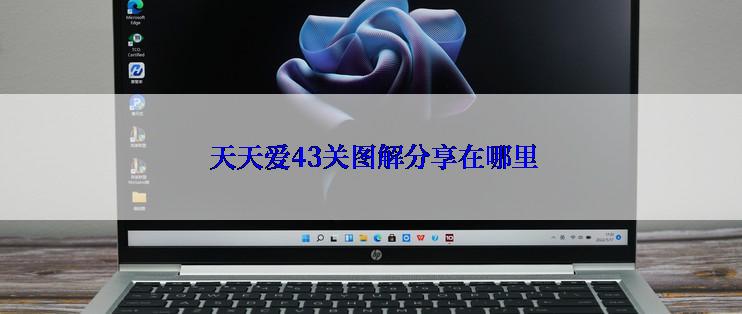 天天爱43关图解分享在哪里