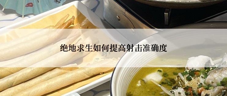 绝地求生如何提高射击准确度