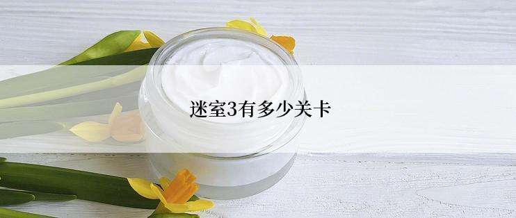  迷室3有多少关卡