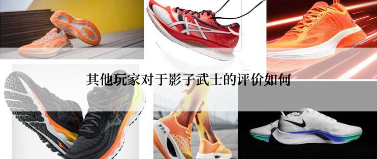 其他玩家对于影子武士的评价如何