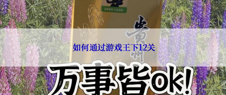  如何通过游戏王下12关