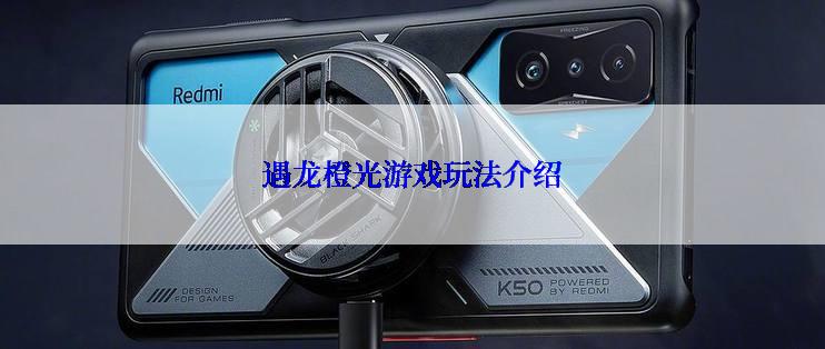 遇龙橙光游戏玩法介绍