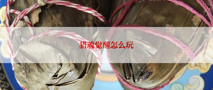 猎魂觉醒怎么玩